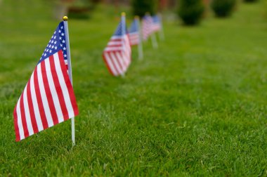 Anma günü bayrakları. Yeşil çim çim arka plan üzerinde Amerikan bayrağı