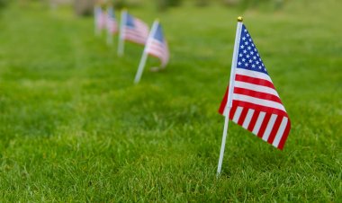 Anma günü bayrakları. Yeşil çim çim arka plan üzerinde Amerikan bayrağı