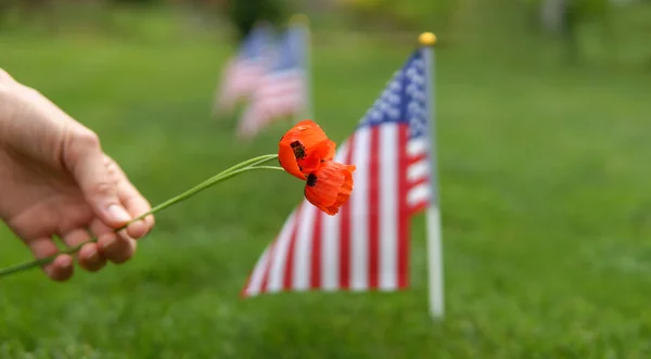 Día Conmemorativo Mano Una Mujer Con Flores Rojas Cementerio Honrando — Foto de Stock