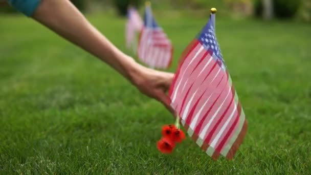 Memorial Day Hand Van Een Vrouw Met Rode Bloemen Begraafplaats — Stockvideo