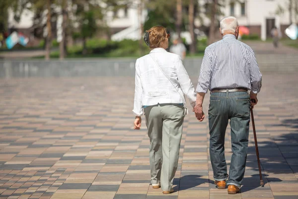 Adultos Mayores Caminando Por Parque Tomados Mano — Foto de Stock