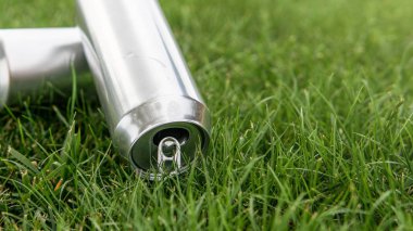 Boş bira tenekesi yeşil çimen arka planda. Kullanılan geri dönüşüm şişesi çöp konsepti