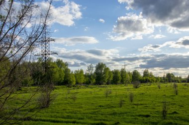 Rus sahası. Rus ormanı. Bisiklette bir yürüyüş