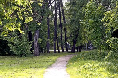 Güneşli bir günde, ağaçlar açar, ayva, çimenlerde çiçekler, kırmızı, sarı ve ozan, insanlar köpeklerle yürür, kuşlar çimenlerde toplanır, ördekler ve martılar yüzer, serçeler güneşte güneşlenir, çok sayıda arı, sinek, çiçek üzerinde böcekler vardır.