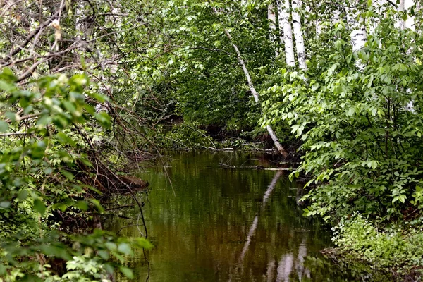 Güneşli bir günde, ağaçlar açar, ayva, çimenlerde çiçekler, kırmızı, sarı ve ozan, insanlar köpeklerle yürür, kuşlar çimenlerde toplanır, ördekler ve martılar yüzer, serçeler güneşte güneşlenir, çok sayıda arı, sinek, çiçek üzerinde böcekler vardır.