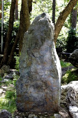 Gölün kıyısında su ve taşlı güzel manzaralar vardır, ördekli ördekler, martılar ve yusufçuklar suda yüzer, çiçekler ve çalılarla dolu güzel kayalar.