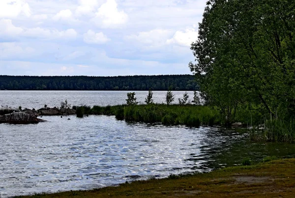 Brzegu Jeziora Znajdują Się Piękne Krajobrazy Wodą Kamieniami Kaczki Kaczątkami — Zdjęcie stockowe