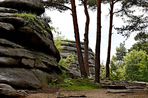Gölün kıyısında su ve taşlı güzel manzaralar vardır, ördekli ördekler, martılar ve yusufçuklar suda yüzer, çiçekler ve çalılarla dolu güzel kayalar.
