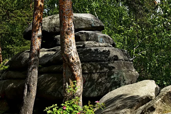 Gölün kıyısında su ve taşlı güzel manzaralar vardır, ördekli ördekler, martılar ve yusufçuklar suda yüzer, çiçekler ve çalılarla dolu güzel kayalar.