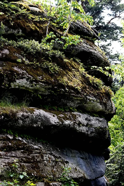 Ufer Des Sees Gibt Wunderschöne Landschaften Mit Wasser Und Steinen — Stockfoto