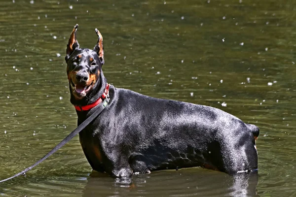 Dans Les Parcs Banlieue Beaucoup Endroits Intéressants Des Carrières Avec — Photo