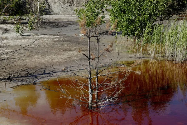 Banliyö parklarında birçok ilginç yer var, rezervleri ve dağ sıraları olan ocaklar, taşlı kıyıları ve renkli kayaları olan göller, birçok kuş ve insan, köpekleri, gelincikleri, tilkileri, birçok manzarası, çiçekleri ve ağaçları olan.