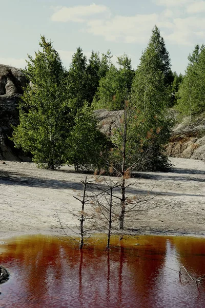 Banliyö parklarında birçok ilginç yer var, rezervleri ve dağ sıraları olan ocaklar, taşlı kıyıları ve renkli kayaları olan göller, birçok kuş ve insan, köpekleri, gelincikleri, tilkileri, birçok manzarası, çiçekleri ve ağaçları olan.