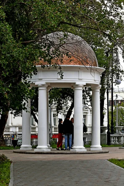 Miasto Jest Żywym Organizmem Budynków Mieszkalnych Publicznych Administracyjnych Religijnych Parków — Zdjęcie stockowe