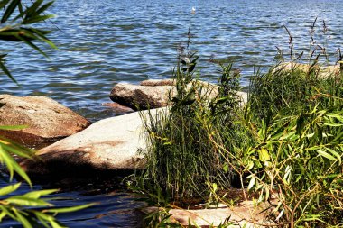 Banliyö parklarında birçok ilginç yer var, rezervleri ve dağ sıraları olan ocaklar, taşlı kıyıları ve renkli kayaları olan göller, birçok kuş ve insan, köpekleri, gelincikleri, tilkileri, birçok manzarası, çiçekleri ve ağaçları olan.