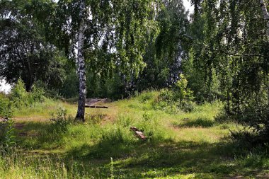 Banliyö parklarında birçok ilginç yer var, rezervleri ve dağ sıraları olan ocaklar, taşlı kıyıları ve renkli kayaları olan göller, birçok kuş ve insan, köpekleri, gelincikleri, tilkileri, birçok manzarası, çiçekleri ve ağaçları olan.