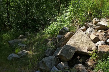 Banliyö parklarında birçok ilginç yer var, rezervleri ve dağ sıraları olan ocaklar, taşlı kıyıları ve renkli kayaları olan göller, birçok kuş ve insan, köpekleri, gelincikleri, tilkileri, birçok manzarası, çiçekleri ve ağaçları olan.