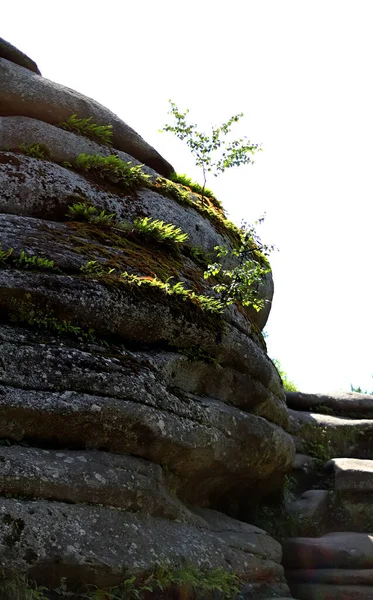Banliyö parklarında birçok ilginç yer var, rezervleri ve dağ sıraları olan ocaklar, taşlı kıyıları ve renkli kayaları olan göller, birçok kuş ve insan, köpekleri, gelincikleri, tilkileri, birçok manzarası, çiçekleri ve ağaçları olan.