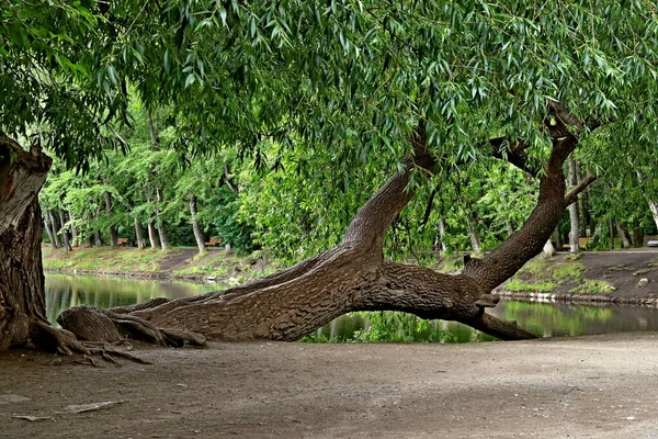 Příměstských Parcích Mnoho Zajímavých Míst Lomy Nádržemi Horskými Masivy Jezera — Stock fotografie