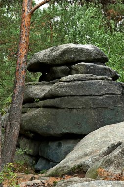 Parkta sincaplar, köpekler, kargalar, serçeler, güvercinler, su üzerinde ördekler ve martılar, farklı türde çiçekler, elmalar ve diğer meyveler, çamlar ve huş ağaçları, bataklık, küçük mimari formlar bulabilirsiniz.