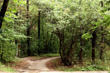 Şehir parkında mantarlı orman alanları, çeşitli çiçek ve çalıların olduğu sokaklar, sincaplar, kuşlar ve diğer hayvanlar, ördekli barajlar, yapay bataklıklar, çam ağaçları ve huş ağaçları vardır.