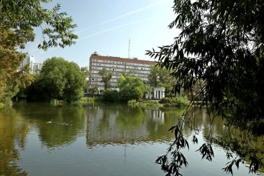 in summer, autumn and winter, there are beautiful trees in the city's parks. There are many ducks, gulls, pigeons, crows, tits and swans. You can meet squirrels and dogs. Flowers and mushrooms grow. There are lakes and rivers.