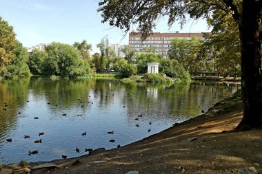 in summer, autumn and winter, there are beautiful trees in the city's parks. There are many ducks, gulls, pigeons, crows, tits and swans. You can meet squirrels and dogs. Flowers and mushrooms grow. There are lakes and rivers.