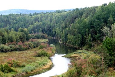 in summer, autumn and winter, there are beautiful trees in the city's parks. There are many ducks, gulls, pigeons, crows, tits and swans. You can meet squirrels and dogs. Flowers and mushrooms grow. There are lakes and rivers.