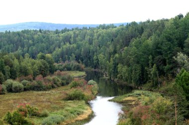 in summer, autumn and winter, there are beautiful trees in the city's parks. There are many ducks, gulls, pigeons, crows, tits and swans. You can meet squirrels and dogs. Flowers and mushrooms grow. There are lakes and rivers.