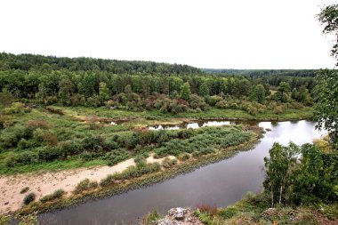 in summer, autumn and winter, there are beautiful trees in the city's parks. There are many ducks, gulls, pigeons, crows, tits and swans. You can meet squirrels and dogs. Flowers and mushrooms grow. There are lakes and rivers.