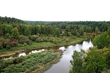 in summer, autumn and winter, there are beautiful trees in the city's parks. There are many ducks, gulls, pigeons, crows, tits and swans. You can meet squirrels and dogs. Flowers and mushrooms grow. There are lakes and rivers.