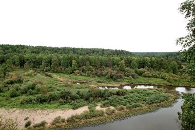 in summer, autumn and winter, there are beautiful trees in the city's parks. There are many ducks, gulls, pigeons, crows, tits and swans. You can meet squirrels and dogs. Flowers and mushrooms grow. There are lakes and rivers.