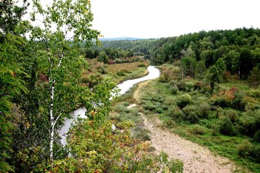 in summer, autumn and winter, there are beautiful trees in the city's parks. There are many ducks, gulls, pigeons, crows, tits and swans. You can meet squirrels and dogs. Flowers and mushrooms grow. There are lakes and rivers.