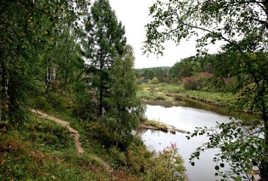 in summer, autumn and winter, there are beautiful trees in the city's parks. There are many ducks, gulls, pigeons, crows, tits and swans. You can meet squirrels and dogs. Flowers and mushrooms grow. There are lakes and rivers.