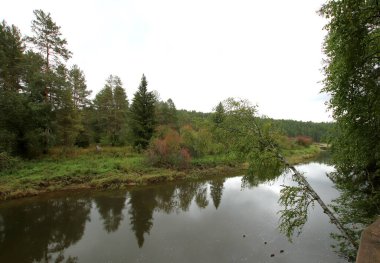 in summer, autumn and winter, there are beautiful trees in the city's parks. There are many ducks, gulls, pigeons, crows, tits and swans. You can meet squirrels and dogs. Flowers and mushrooms grow. There are lakes and rivers.