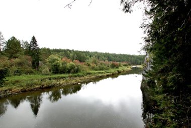 in summer, autumn and winter, there are beautiful trees in the city's parks. There are many ducks, gulls, pigeons, crows, tits and swans. You can meet squirrels and dogs. Flowers and mushrooms grow. There are lakes and rivers.