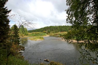 in summer, autumn and winter, there are beautiful trees in the city's parks. There are many ducks, gulls, pigeons, crows, tits and swans. You can meet squirrels and dogs. Flowers and mushrooms grow. There are lakes and rivers.