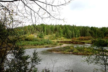 in summer, autumn and winter, there are beautiful trees in the city's parks. There are many ducks, gulls, pigeons, crows, tits and swans. You can meet squirrels and dogs. Flowers and mushrooms grow. There are lakes and rivers.