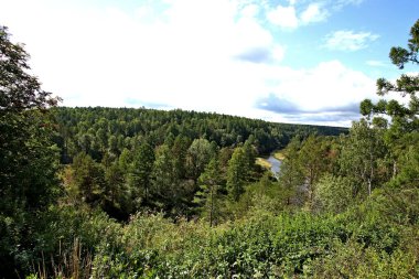 in summer, autumn and winter, there are beautiful trees in the city's parks. There are many ducks, gulls, pigeons, crows, tits and swans. You can meet squirrels and dogs. Flowers and mushrooms grow. There are lakes and rivers.
