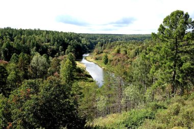 in summer, autumn and winter, there are beautiful trees in the city's parks. There are many ducks, gulls, pigeons, crows, tits and swans. You can meet squirrels and dogs. Flowers and mushrooms grow. There are lakes and rivers.