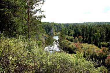 in summer, autumn and winter, there are beautiful trees in the city's parks. There are many ducks, gulls, pigeons, crows, tits and swans. You can meet squirrels and dogs. Flowers and mushrooms grow. There are lakes and rivers.