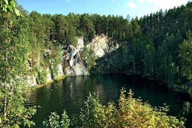 in summer, autumn and winter, there are beautiful trees in the city's parks. There are many ducks, gulls, pigeons, crows, tits and swans. You can meet squirrels and dogs. Flowers and mushrooms grow. There are lakes and rivers.