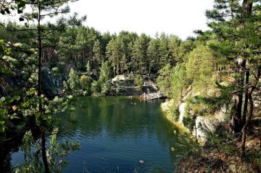 in summer, autumn and winter, there are beautiful trees in the city's parks. There are many ducks, gulls, pigeons, crows, tits and swans. You can meet squirrels and dogs. Flowers and mushrooms grow. There are lakes and rivers.