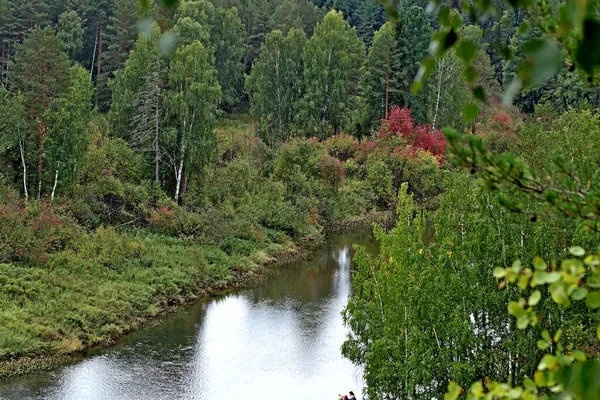 Sommer Herbst Und Winter Gibt Wunderschöne Bäume Den Parks Der — Stockfoto