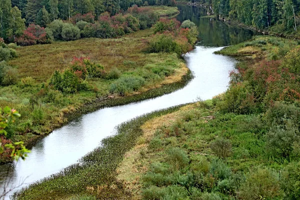 Été Automne Hiver Beaux Arbres Dans Les Parcs Ville Beaucoup — Photo