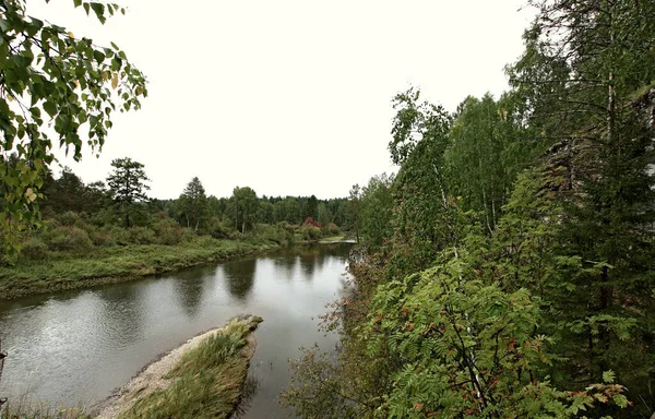 in summer, autumn and winter, there are beautiful trees in the city's parks. There are many ducks, gulls, pigeons, crows, tits and swans. You can meet squirrels and dogs. Flowers and mushrooms grow. There are lakes and rivers.