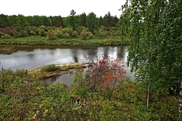 Été Automne Hiver Beaux Arbres Dans Les Parcs Ville Beaucoup — Photo