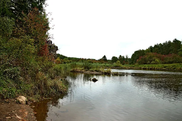 in summer, autumn and winter, there are beautiful trees in the city's parks. There are many ducks, gulls, pigeons, crows, tits and swans. You can meet squirrels and dogs. Flowers and mushrooms grow. There are lakes and rivers.