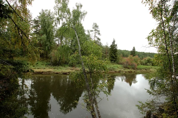 Été Automne Hiver Beaux Arbres Dans Les Parcs Ville Beaucoup — Photo