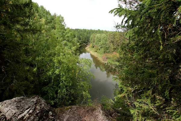 Été Automne Hiver Beaux Arbres Dans Les Parcs Ville Beaucoup — Photo